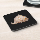 Dessous de verre en plastique dur Conch Shell (Côté gauche)