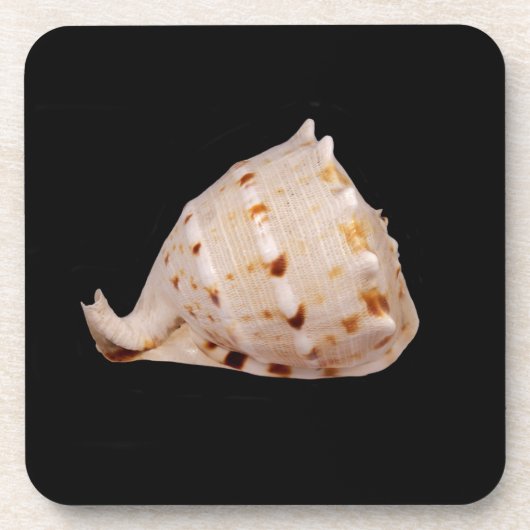 Dessous de verre en plastique dur Conch Shell (Devant)