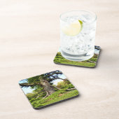 Dessous de verre en plastique durs d'arbre du (Côté Droit)