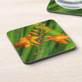 Dessous de verre en plastique durs de fleur orange (Côté gauche)