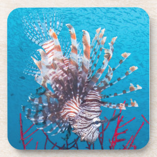 Dessous de verre en plastique durs de Lionfish