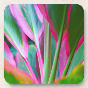 Dessous de verre en plastique durs de plante