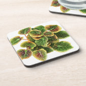 dessous de verre en plastique pilea feuille (Côté gauche)