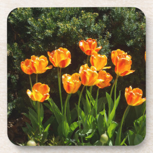 dessous de verre en plastique tulipes jaune et ora
