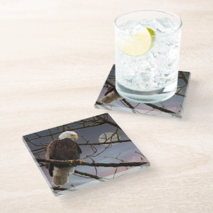 Dessous-de-verre En Verre Aigle royal sous pleine lune faune