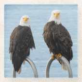 Dessous-de-verre En Verre Aigles chauves avec attitude drôle Faune sauvage (Devant)