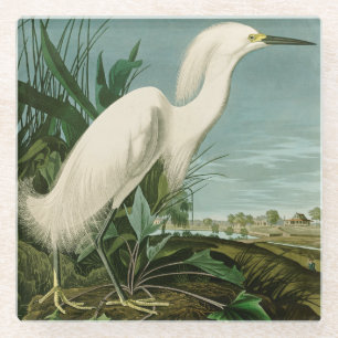 Dessous-de-verre En Verre Aigrette neigeuse d'Audubon oiseau Héron blanc orn