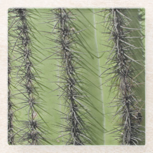 Dessous-de-verre En Verre Aiguilles de Cactus Saguaro Photo Nature du Sud-Ou
