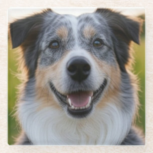 Dessous-de-verre En Verre Ajouter une Personnaliser photo pour animaux domes