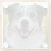 Dessous-de-verre En Verre Ajouter une Personnaliser photo pour animaux domes (Dos)