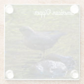 Dessous-de-verre En Verre American Dipper (Dos)