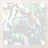 Dessous-de-verre En Verre Amur Tiger (Dos)