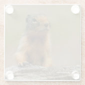 Dessous-de-verre En Verre Amusant Cute Saucy Columbian Ground Squirrel (Dos)