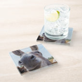 Dessous-de-verre En Verre Âne gris souriant comique (Incliné)