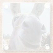 Dessous-de-verre En Verre Âne gris souriant comique (Dos)