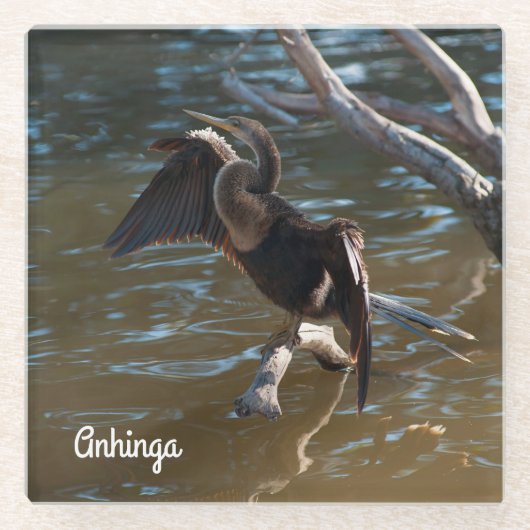 Dessous-de-verre En Verre Anhinga (Devant)