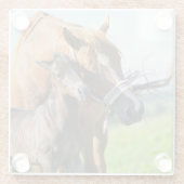 Dessous-de-verre En Verre Animaux de bébés cutest | Black Foy avec maman (Dos)