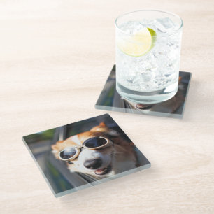 Dessous-de-verre En Verre Animaux de bébés cutest Corgi lunettes dans la v