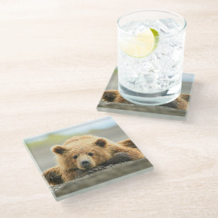 Dessous-de-verre En Verre Animaux de bébés cutest Cub d'ours Brown côtier
