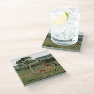 Dessous-de-verre En Verre Animaux de bébés cutest Giraffe Calf & Mama