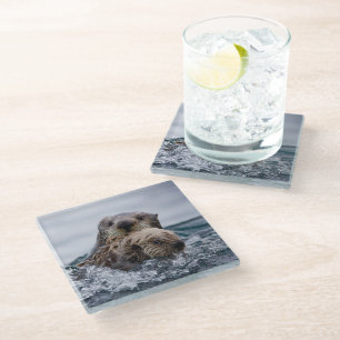 Dessous-de-verre En Verre Animaux de bébés cutest   Otter Baby & Mère