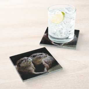 Dessous-de-verre En Verre Animaux de bébés cutest Otters tenant les mains