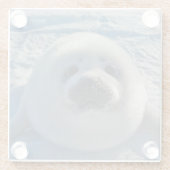 Dessous-de-verre En Verre Animaux de bébés cutest | Phoque bébé (Dos)