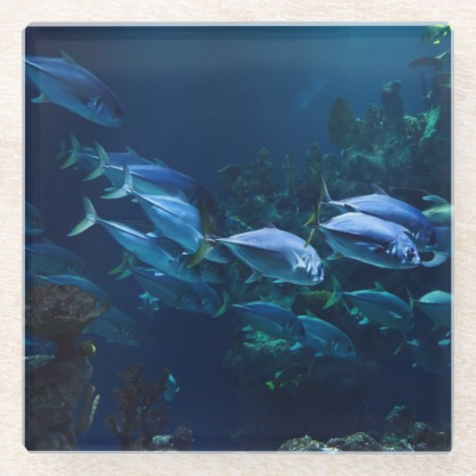 Dessous-de-verre En Verre Aquarium (Devant)