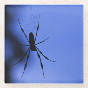 Dessous-de-verre En Verre Araignée