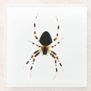Dessous-de-verre En Verre Araignée