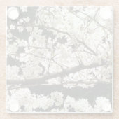 Dessous-de-verre En Verre Arbre à bois de chien en fleurs blanches, closeuse (Dos)