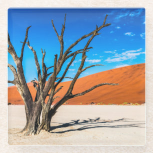 Dessous-de-verre En Verre Arbre mort à Deadvlei, Namibie