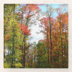 Dessous-de-verre En Verre Arbres d'automne et ciel bleu Photographie de la n