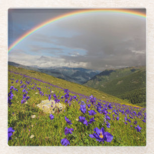 Dessous-de-verre En Verre Arc-en-ciel au-dessus d'un pré fleurissant