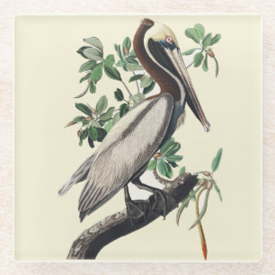 Dessous-de-verre En Verre Art vintage d'Audubon sur le Pélican brun, oiseau