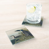 Dessous-de-verre En Verre Audubon Bird Loon Diver Classic (Incliné)