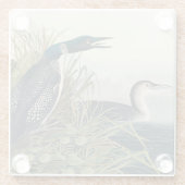Dessous-de-verre En Verre Audubon Bird Loon Diver Classic (Dos)