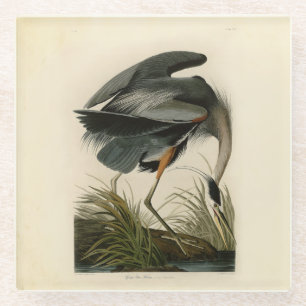 Dessous-de-verre En Verre Audubon Great Blue Heron Marsh Bird