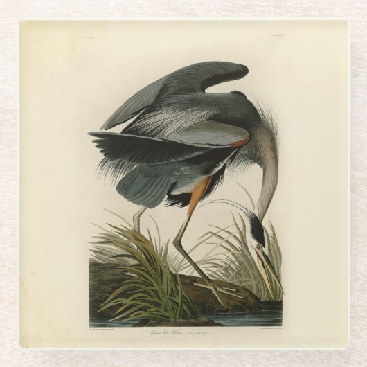 Dessous-de-verre En Verre Audubon Great Blue Heron Marsh Bird (Devant)