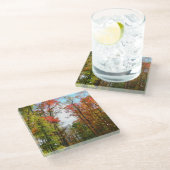 Dessous-de-verre En Verre Automnes Arbres et Ciel bleu Automne Photographie  (Incliné)