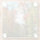 Dessous-de-verre En Verre Automnes Arbres et Ciel bleu Automne Photographie  (Dos)