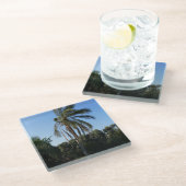 Dessous-de-verre En Verre Balayage d'un palmier sous un ciel clair (Incliné)