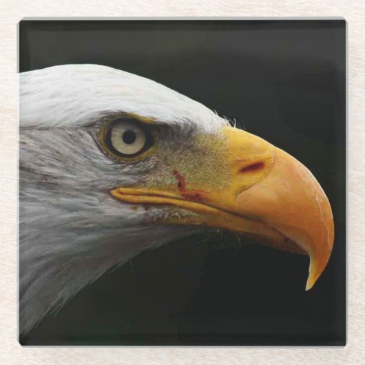 Dessous-de-verre En Verre Bald Eagle (Devant)