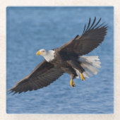 Dessous-de-verre En Verre Bald eagle in flight (Devant)