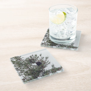 Dessous-de-verre En Verre Bald Eagle P2825