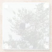 Dessous-de-verre En Verre Bald Eagle P2825 (Dos)
