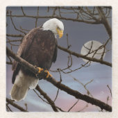 Dessous-de-verre En Verre Bald Eagle Under Full Moon Wildlife (Devant)