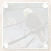 Dessous-de-verre En Verre Bald Eagle Under Full Moon Wildlife (Dos)