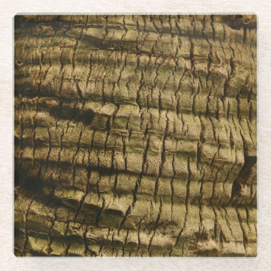 Dessous-de-verre En Verre Barre de palmiers (Devant)