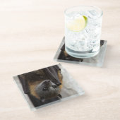 Dessous-de-verre En Verre Batte australienne (Incliné)